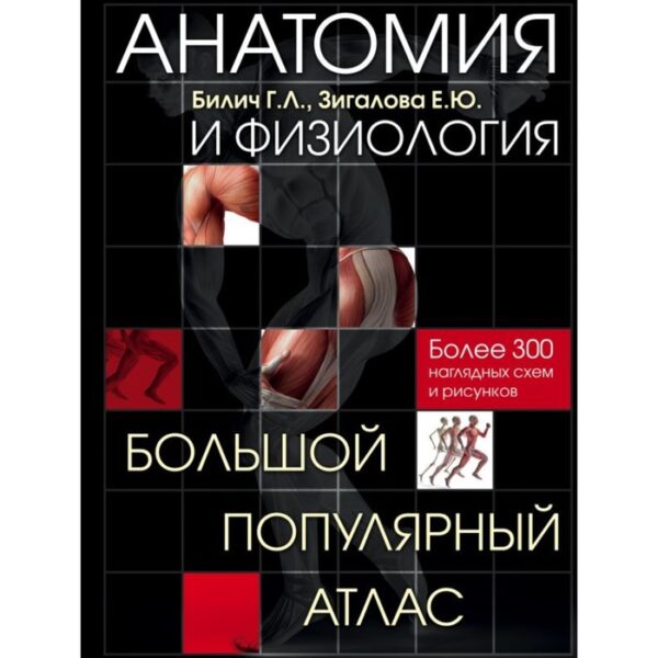 Анатомия и физиология. Большой популярный атлас. Билич Г. Л., Зигалова Е. Ю.