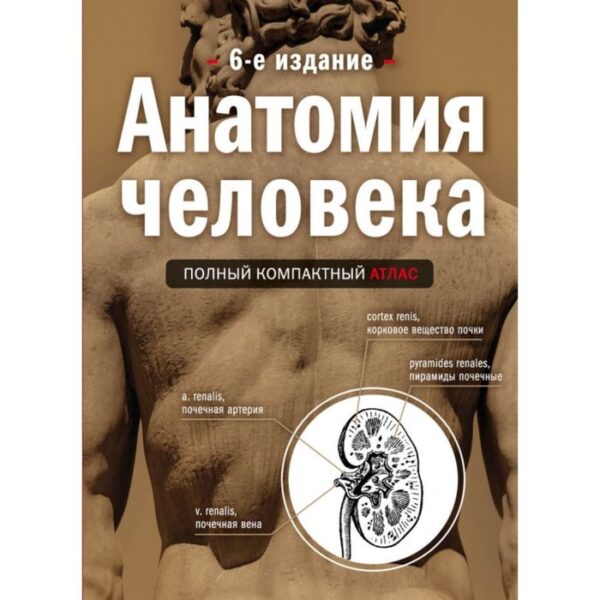 Анатомия человека: полный компактный атлас. 6-е издание. Боянович Ю. В.