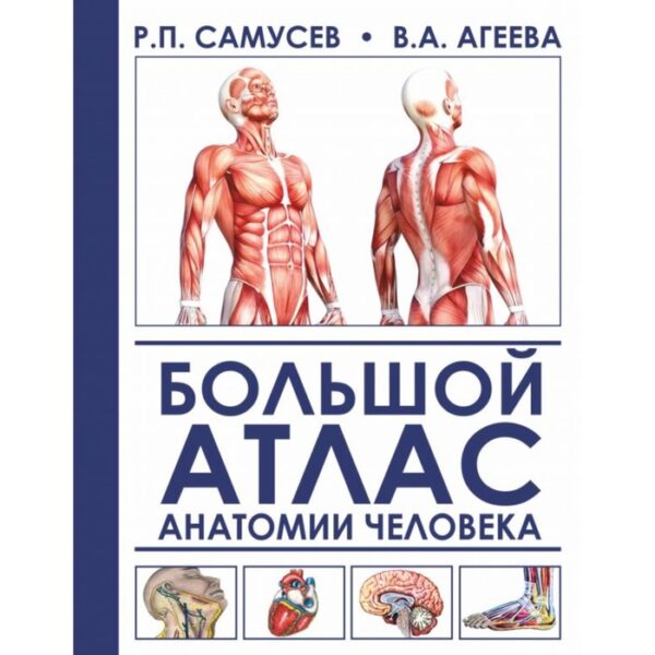 Большой атлас анатомии человека. Самусев Р. П., Агеева В. А.