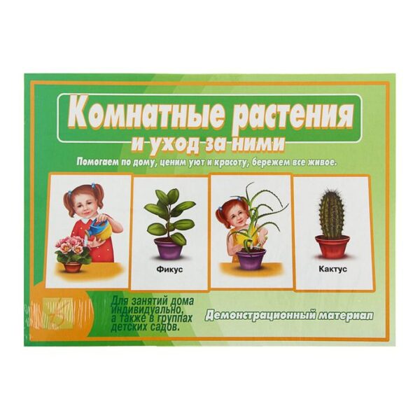 Настольная игра «Комнатные растения и уход за ними»