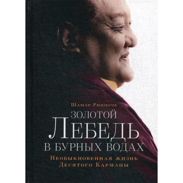 Золотой лебедь в бурных водах. Необыкновенная жизнь Десятого Кармапы. Шамар Ринпоче