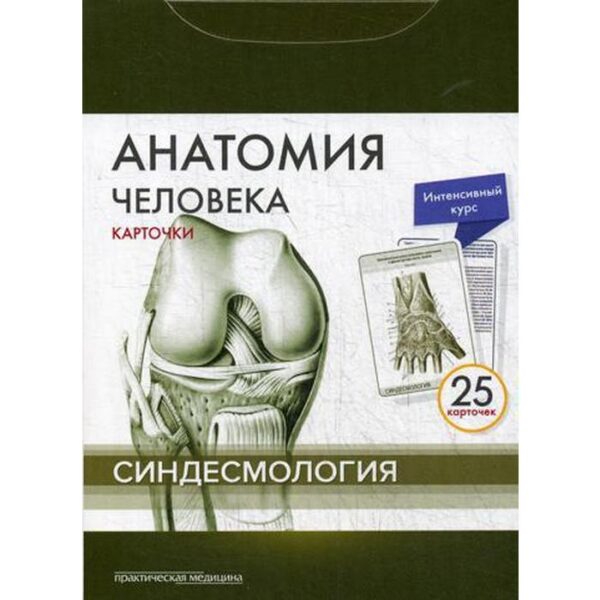 Анатомия человека: карточки. (25 шт). Синдесмология. Сапин М.Р., Николенко В.Н., Тимофеева М.О.