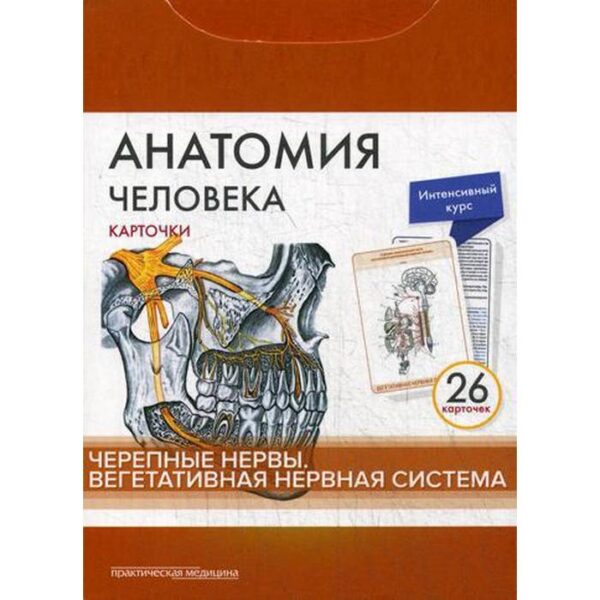 Анатомия человека: карточки. (26 шт). Черепные нервы. Вегетативная нервная система. Сапин М.Р., Николенко В.Н., Тимофеева М.О.