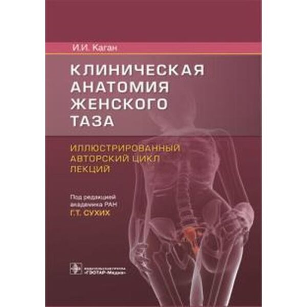 Клиническая анатомия женского таза: иллюстрированный авторский цикл лекций