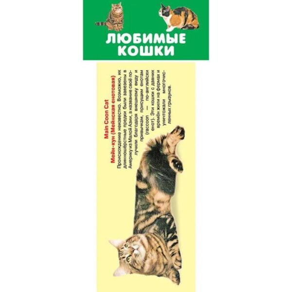 Любимые кошки