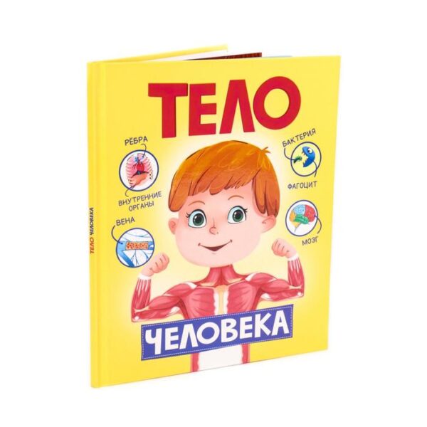 Тело человека