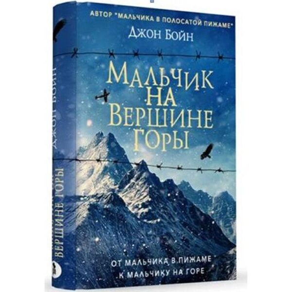 Мальчик на вершине горы. Бойн Д.