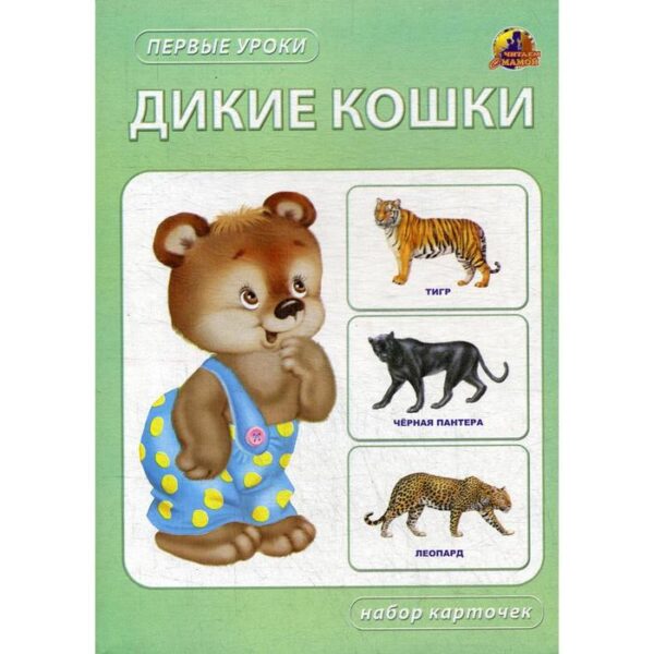 Дикие кошки. Набор карточек