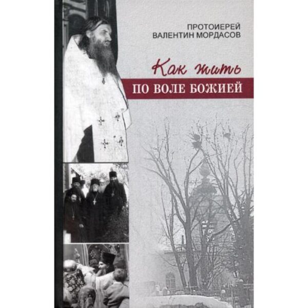 Как жить по воле Божией. Мордасов В., протоиерей