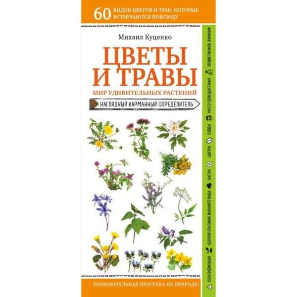 Цветы и травы. Мир удивительных растений. Куценко М. Е.