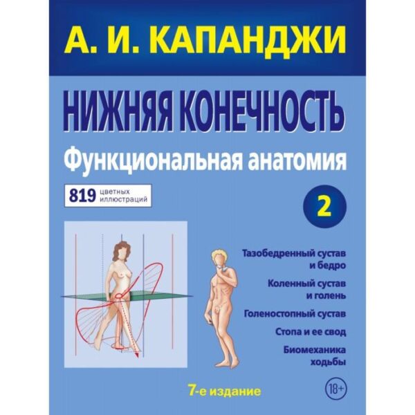 Нижняя конечность: Функциональная анатомия (обновленное издание). А. И. Капанджи