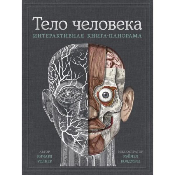 Тело человека. Интерактивная книга-панорама. Уолкер Р.