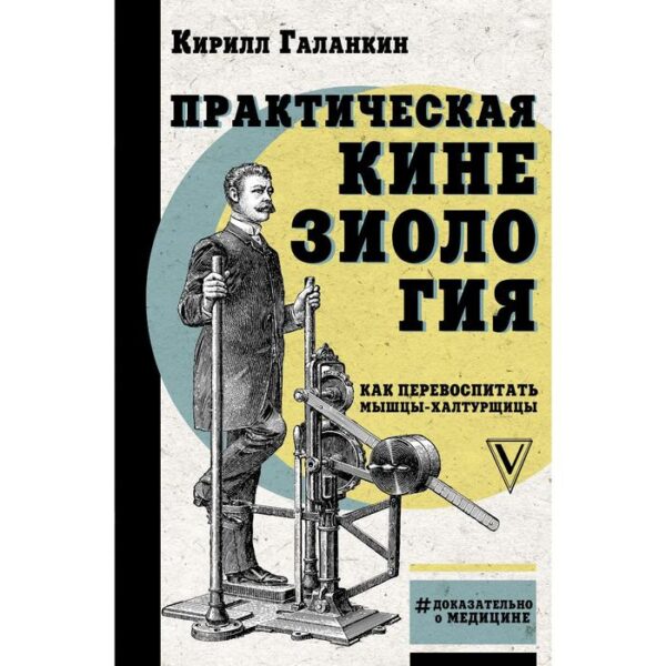 Практическая кинезиология: как перевоспитать мышцы-халтурщицы. Галанкин К.