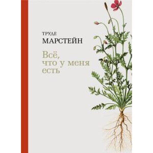 Всё, что у меня есть. Марстейн Т.