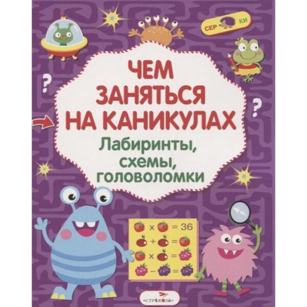 Чем заняться на каникулах. Выпуск 2. Лабиринты, схемы, головоломки