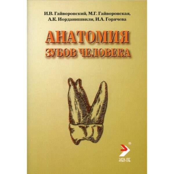 Анатомия зубов человека. 4-е издание, исправленное и дополненное. Гайворонский И.В., Гайворонская М.Г., Иорданишвили А.К., Горячева И.А.