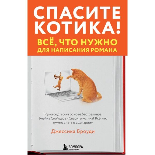 Спасите котика! Всё, что нужно для написания романа. Броуди Д.