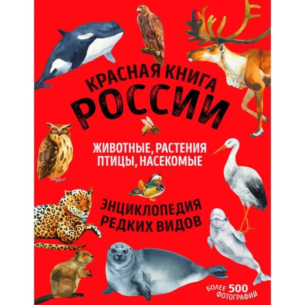 Красная книга России: все о жизни дикой природы. Лукашанец Д.А., Лукашанец Е.М.