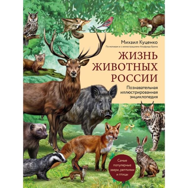 Жизнь животных России. Познавательная иллюстрированная энциклопедия. Куценко М.