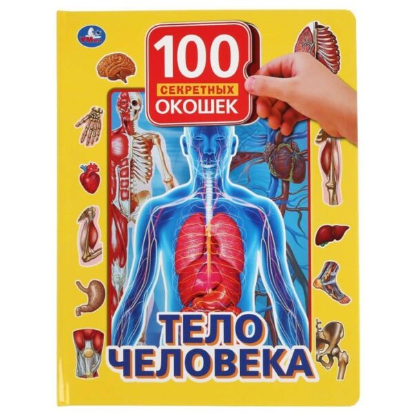 Тело человека