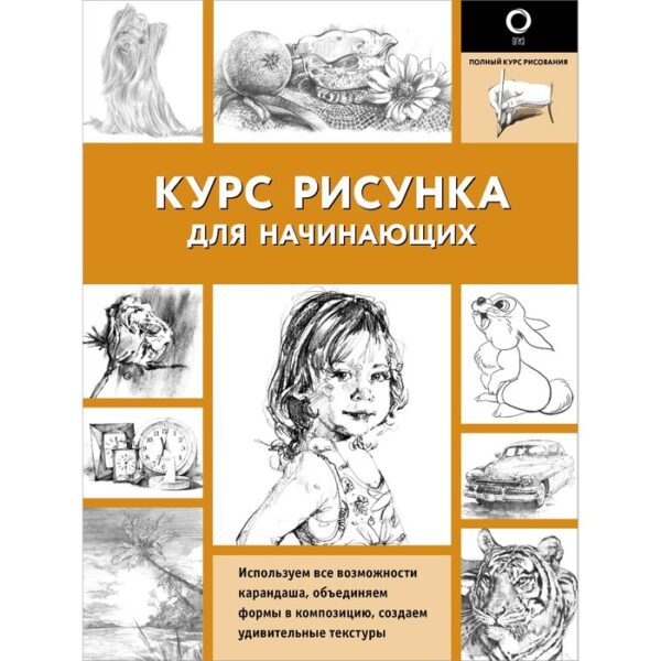 Курс рисунка для начинающих